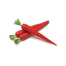 CARROT RED (KG)