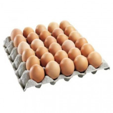 CHICKEN EGG (A) - 30PCS X TRAY