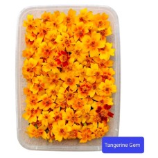 TANGERINE GEM 25GM X PKT
