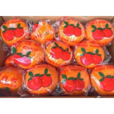 CN LOKAM SIZE XL (+-4KG) X BOX